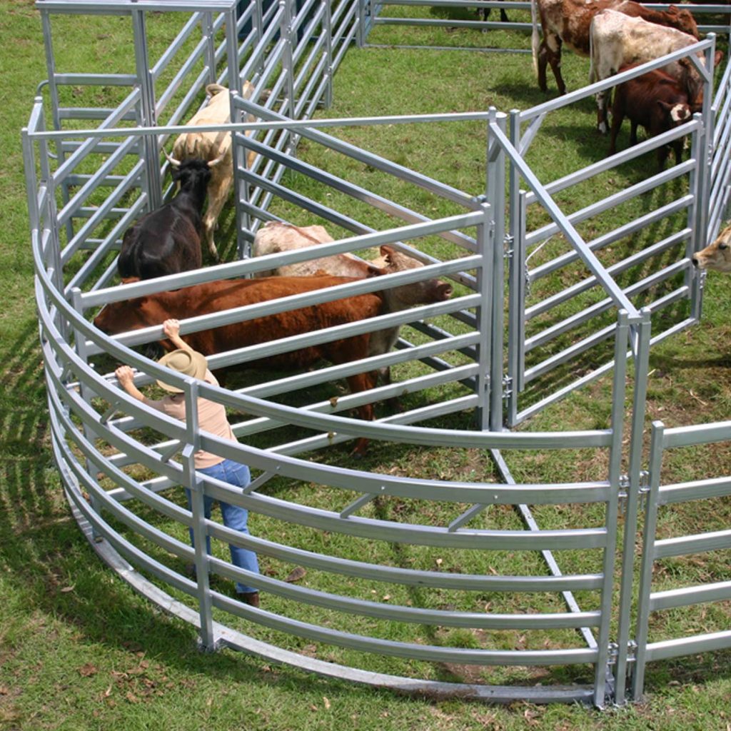 Cattle Equipment Archives Cavalier Livestock Equipment