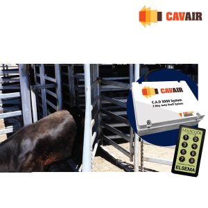 Cav-Air Race Draft System