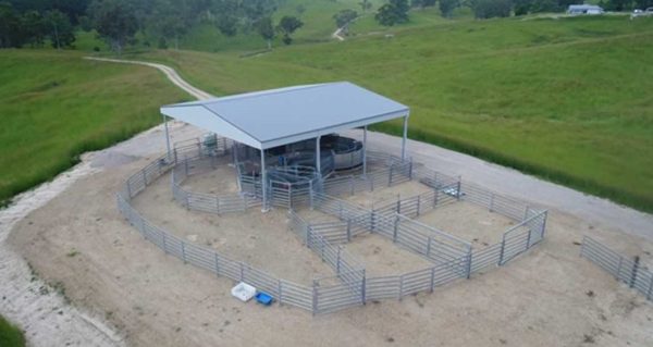 Permanent Livestock Shelter