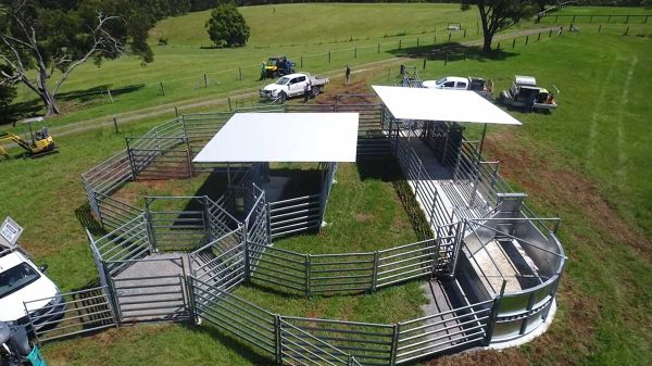 Crush Shelter 6m x 6m