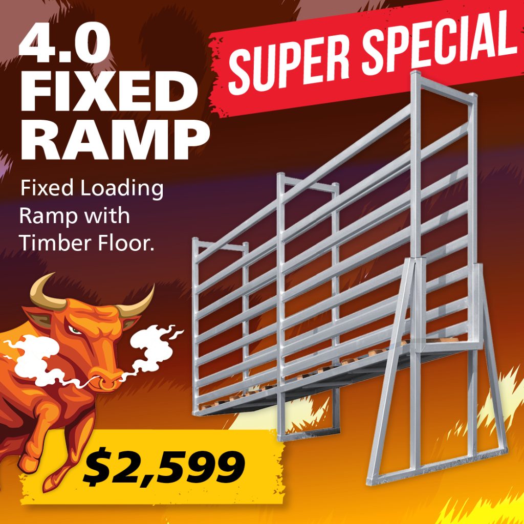 4.0 Fixed Ramp Special Cavalier Livestock Equipment 4.0 Fixed Ramp special