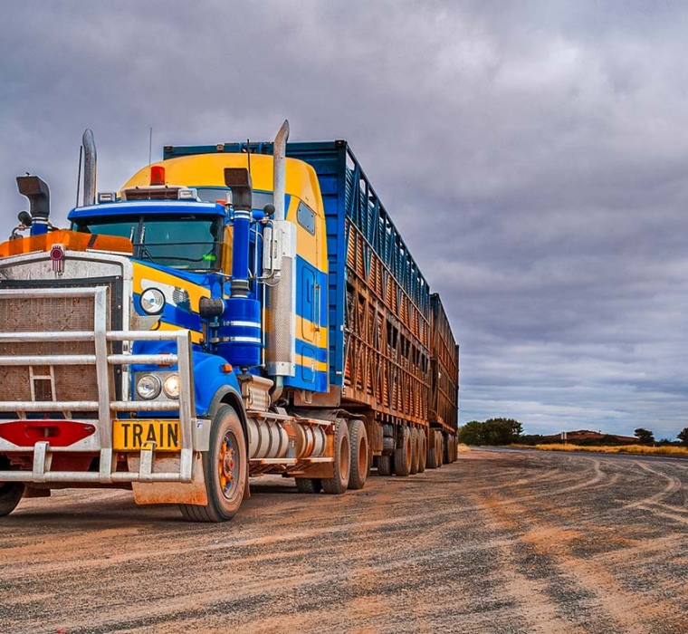 Home Cavalier Livestock Equipment